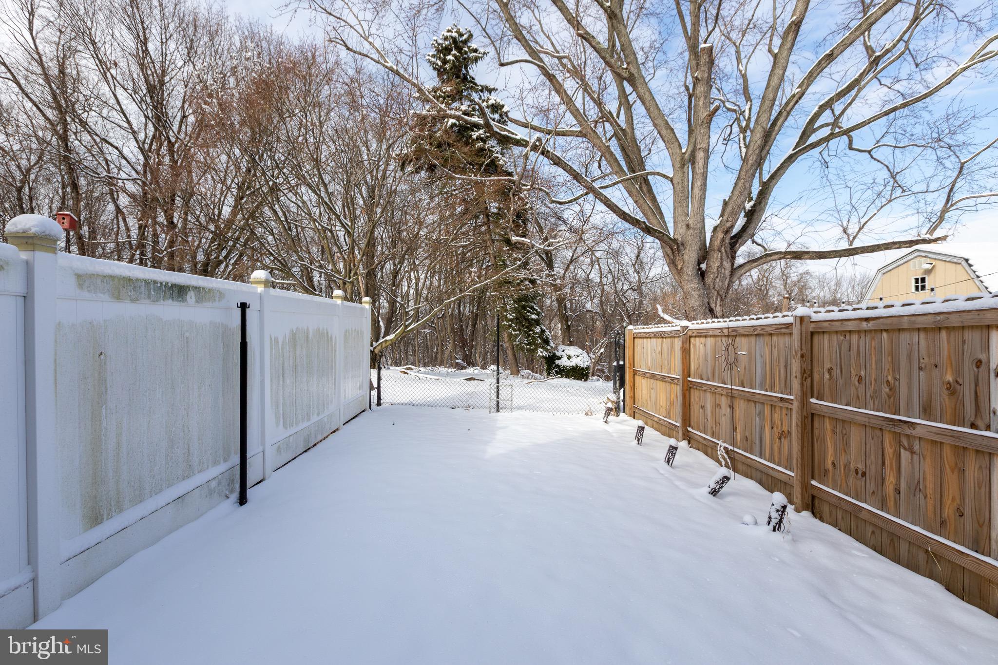 203 Overlook Road Philadelphia, PA 19128 - Photo 28 of 32 a view of backyard and trees