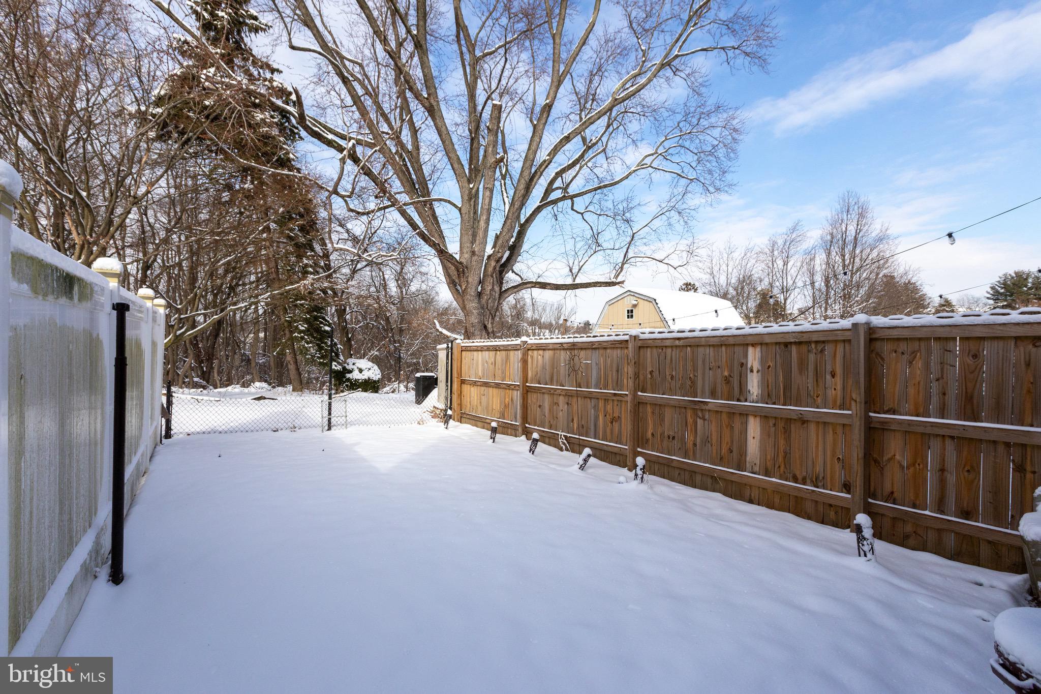 203 Overlook Road Philadelphia, PA 19128 - Photo 29 of 32 a view of backyard and trees