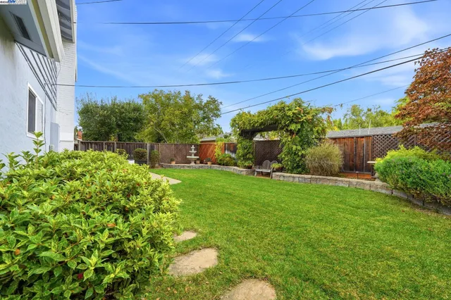 a view of a backyard