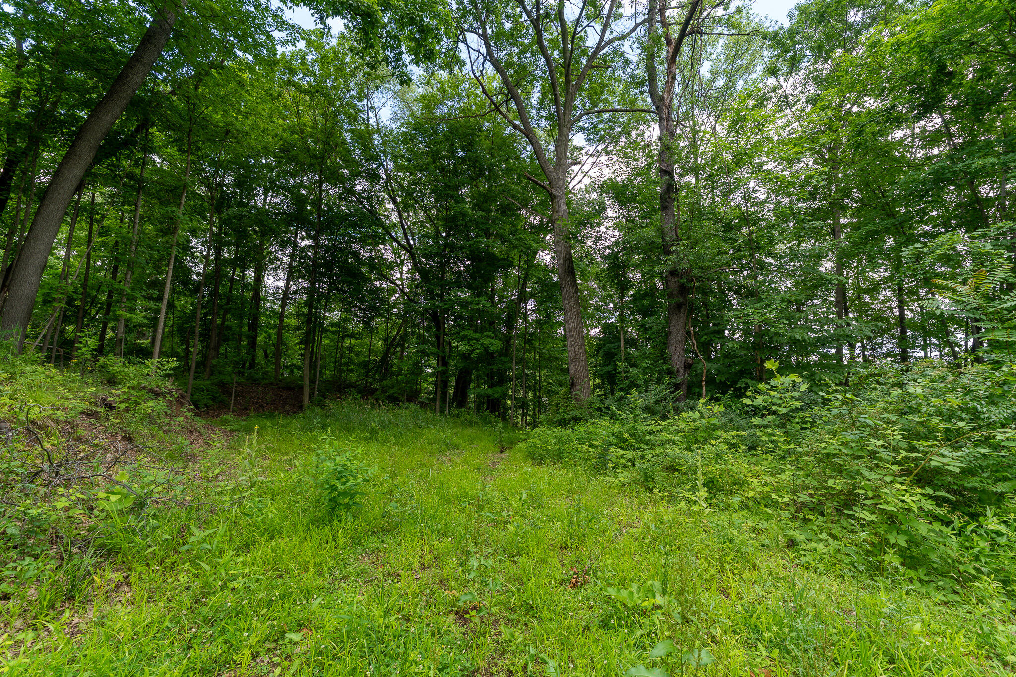 47.06 Weiser Road Niles, MI 49120 - Photo 3 of 19 DSC09014