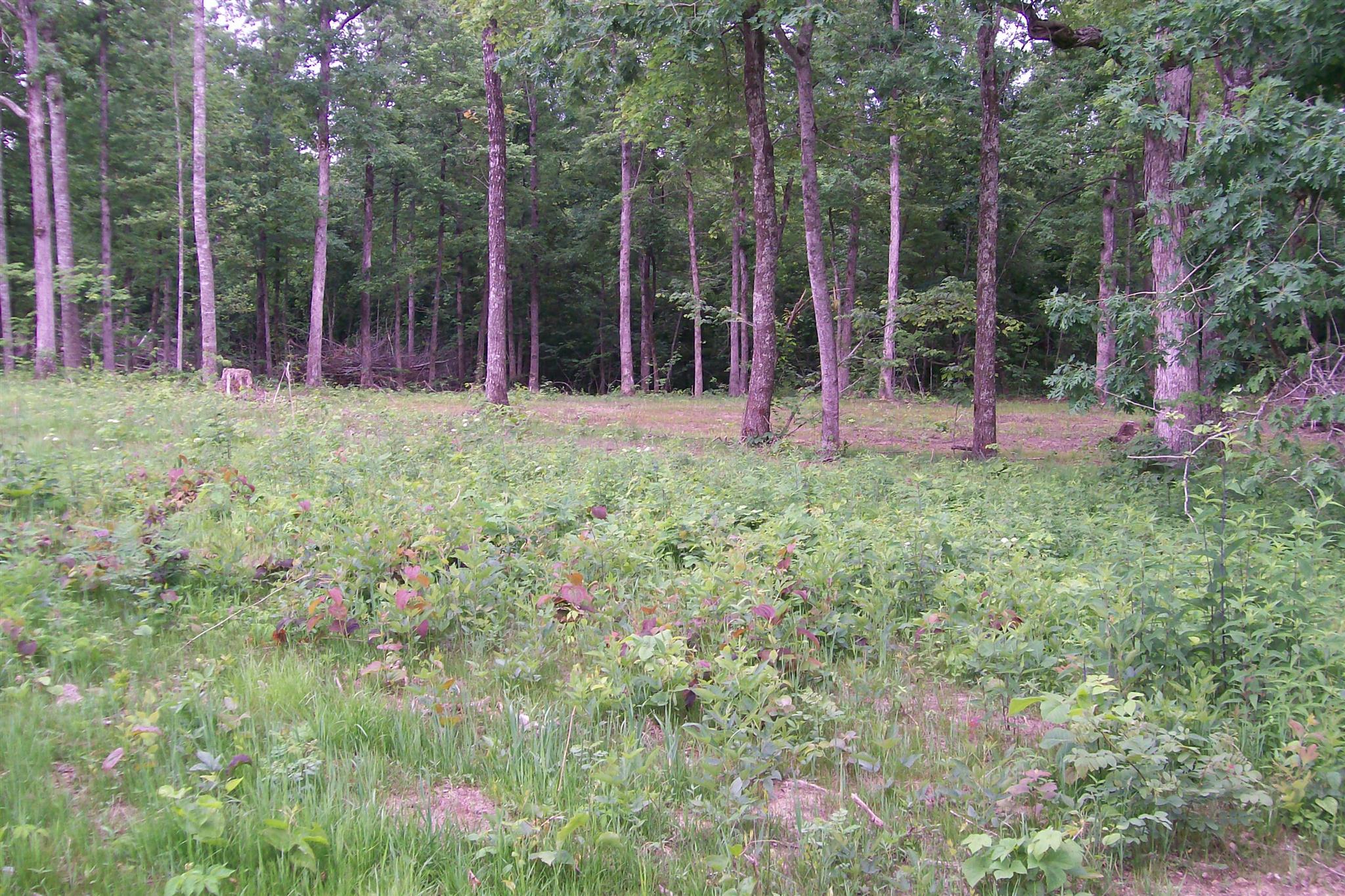 291 East Ravenscroft Road Sparta, TN 38583 - Photo 3 of 5