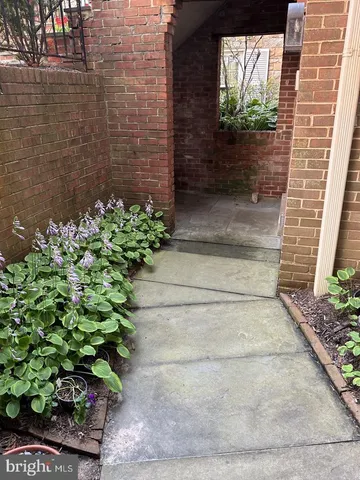 a view of a garden with a pathway