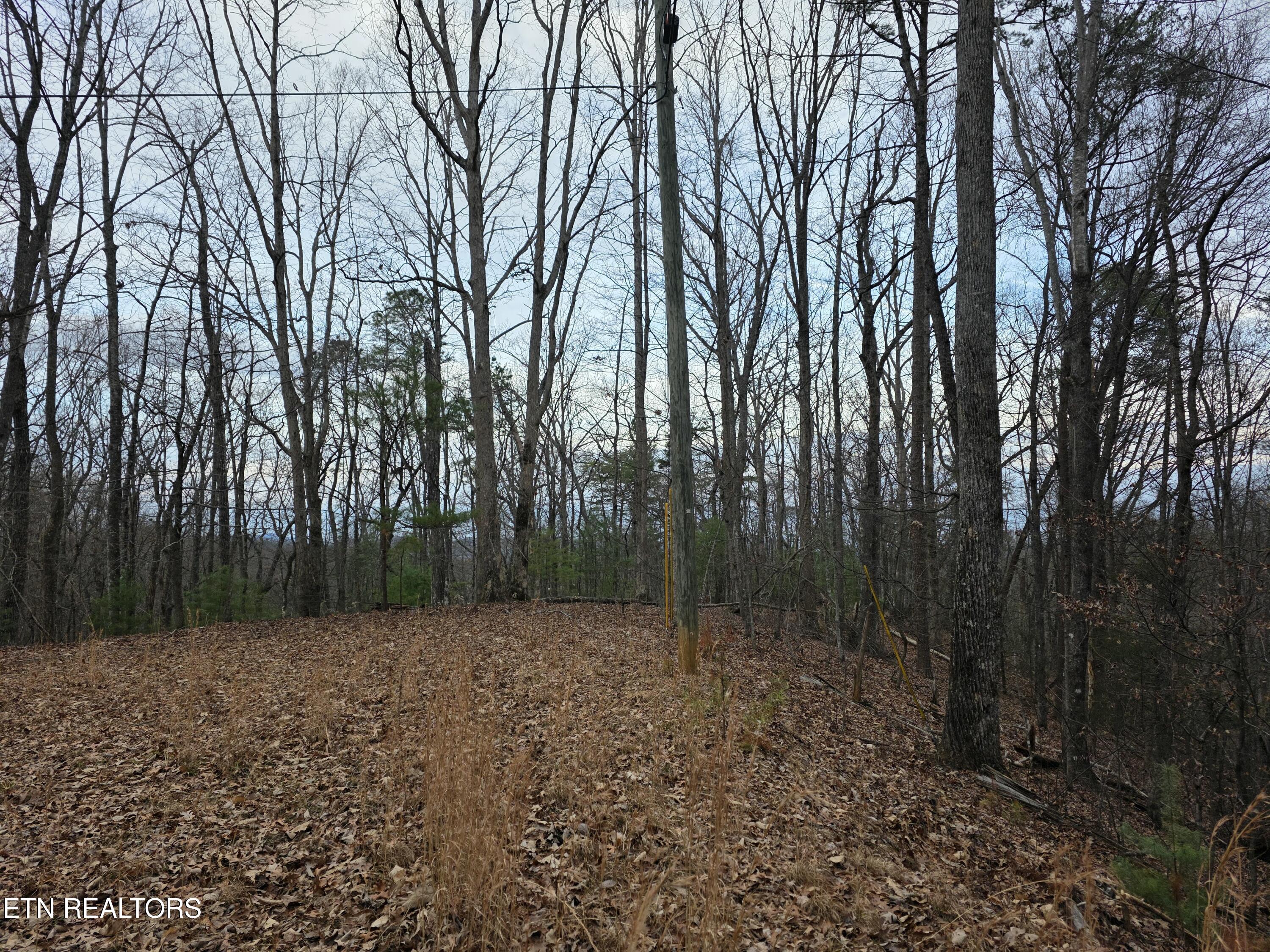 Lot 4 Deer Ridge Lane Sevierville, TN 37876 - Photo 4 of 17 20260114_082224
