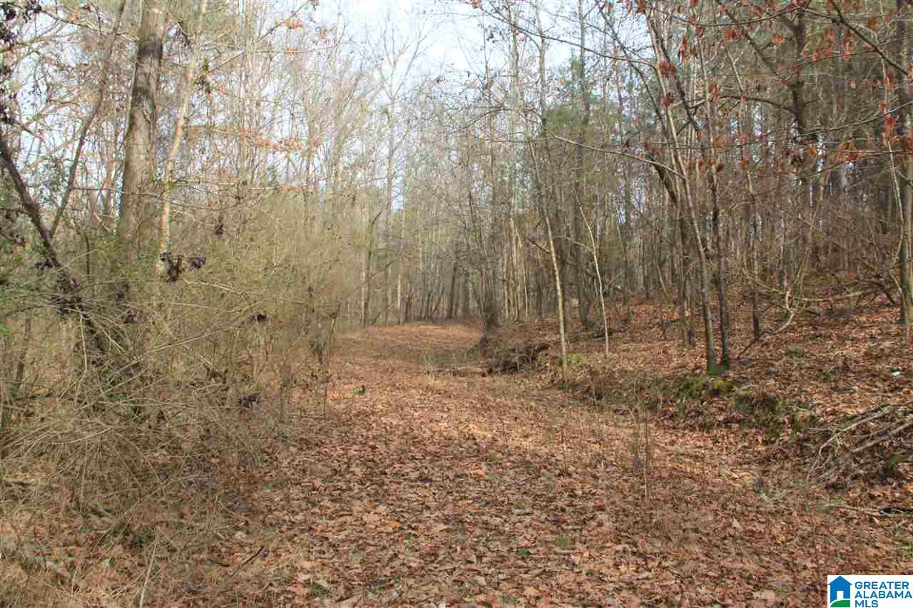400 Eagle Lane Riverside, AL 35135 - Photo 5 of 8