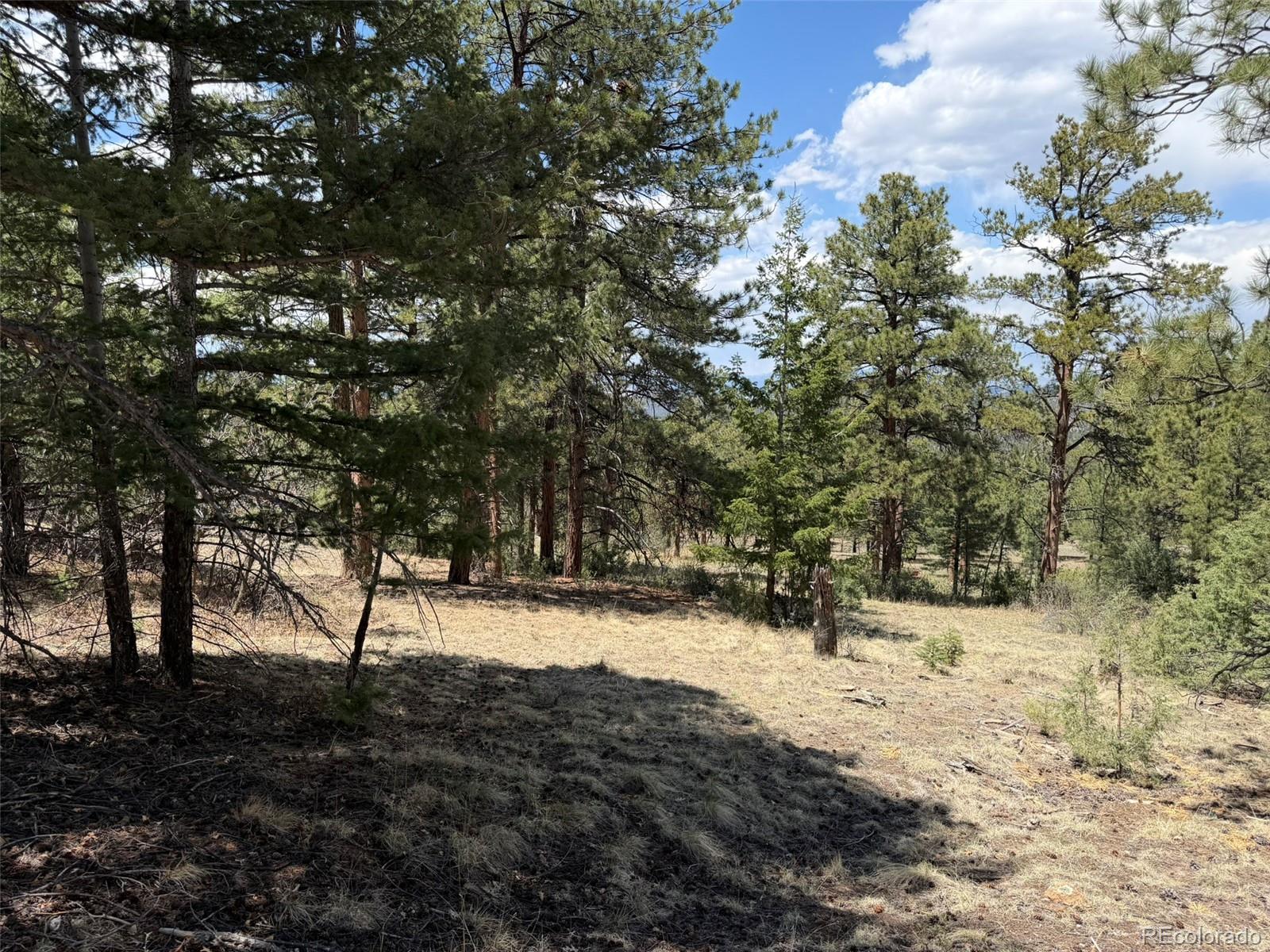 477 Bear Peak Road Westcliffe, CO 81252 - Photo 27 of 39