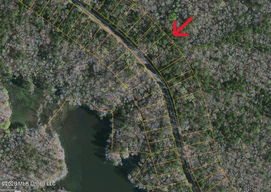 0 South Ross Road Utica, MS 39175 - Photo 1 of 2 0ross rd2