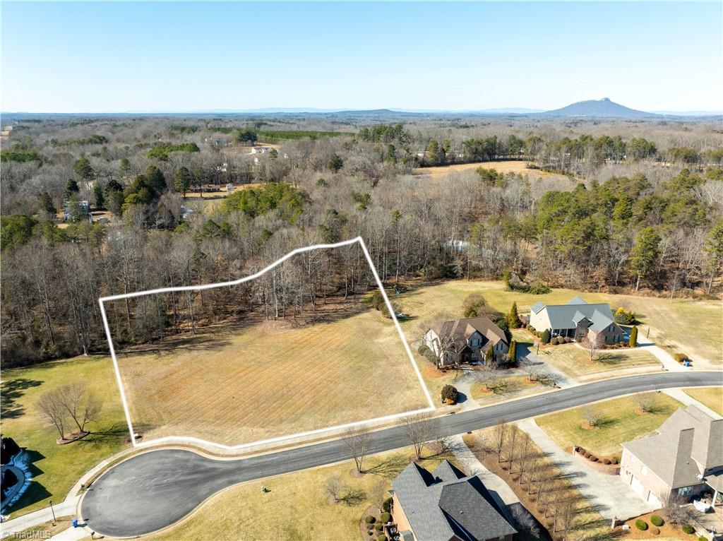3381 Serenity Ridge Lane Tobaccoville, NC 27050 - Photo 12 of 35