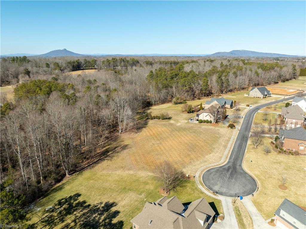 3381 Serenity Ridge Lane Tobaccoville, NC 27050 - Photo 16 of 35