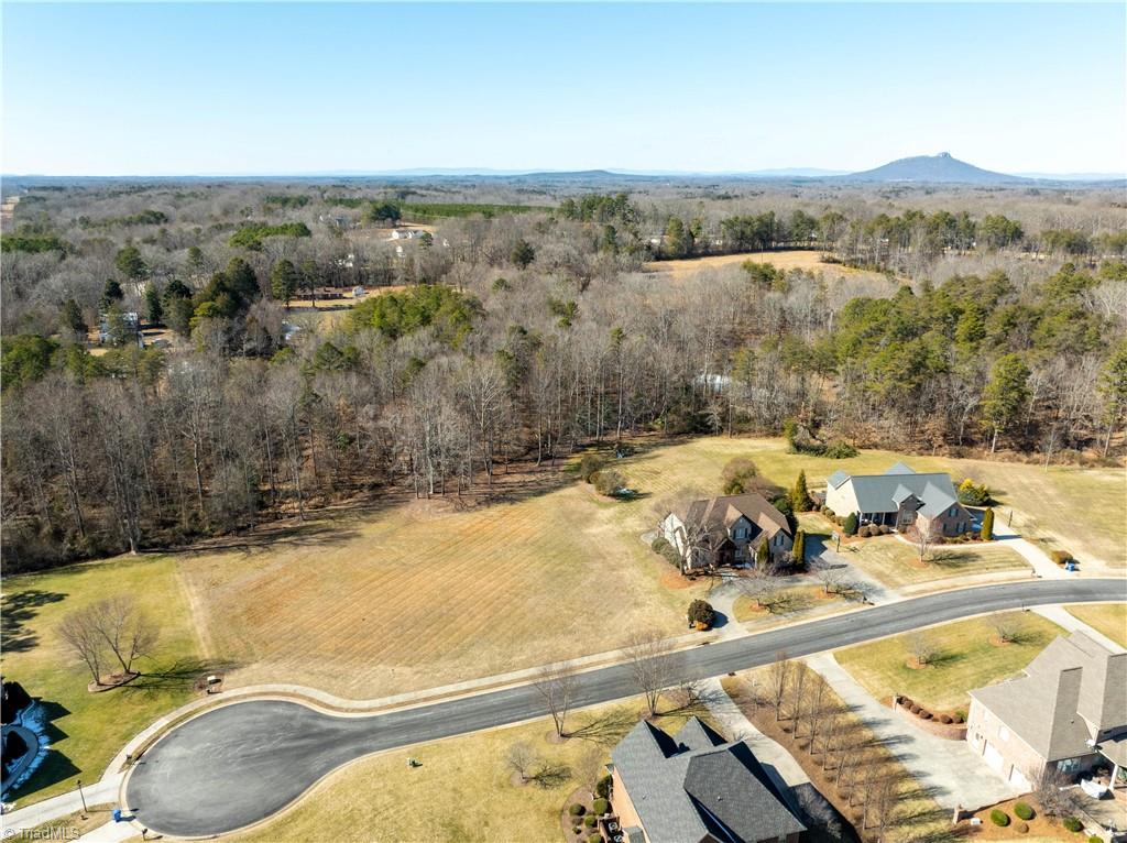 3381 Serenity Ridge Lane Tobaccoville, NC 27050 - Photo 20 of 35