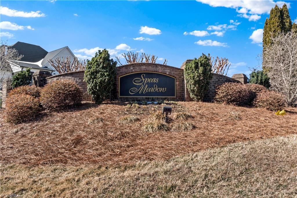 3381 Serenity Ridge Lane Tobaccoville, NC 27050 - Photo 2 of 35