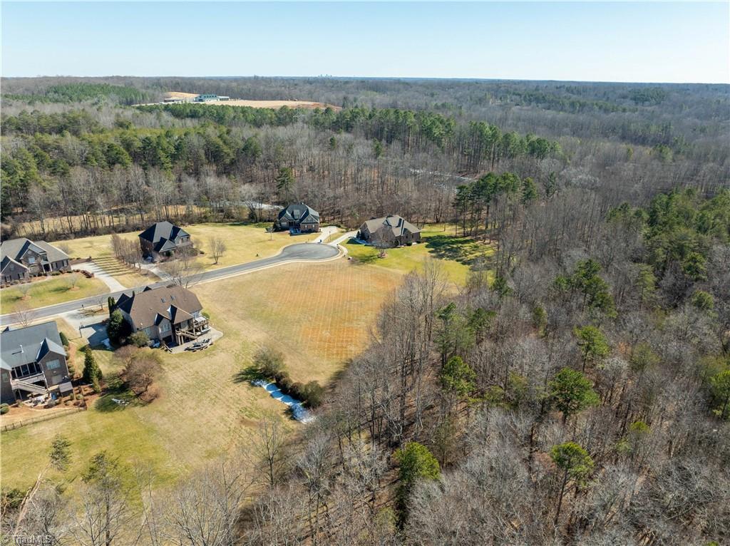 3381 Serenity Ridge Lane Tobaccoville, NC 27050 - Photo 22 of 35