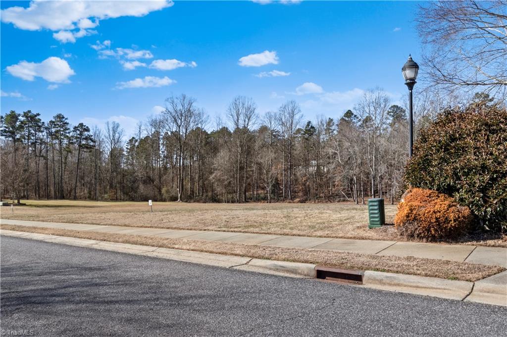 3381 Serenity Ridge Lane Tobaccoville, NC 27050 - Photo 29 of 35