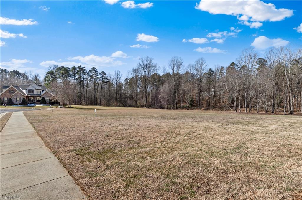 3381 Serenity Ridge Lane Tobaccoville, NC 27050 - Photo 30 of 35