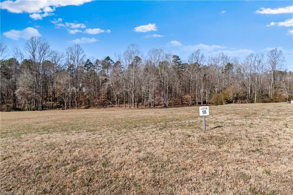 3381 Serenity Ridge Lane Tobaccoville, NC 27050 - Photo 31 of 35