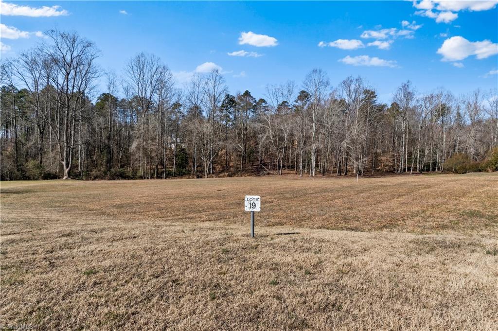 3381 Serenity Ridge Lane Tobaccoville, NC 27050 - Photo 32 of 35