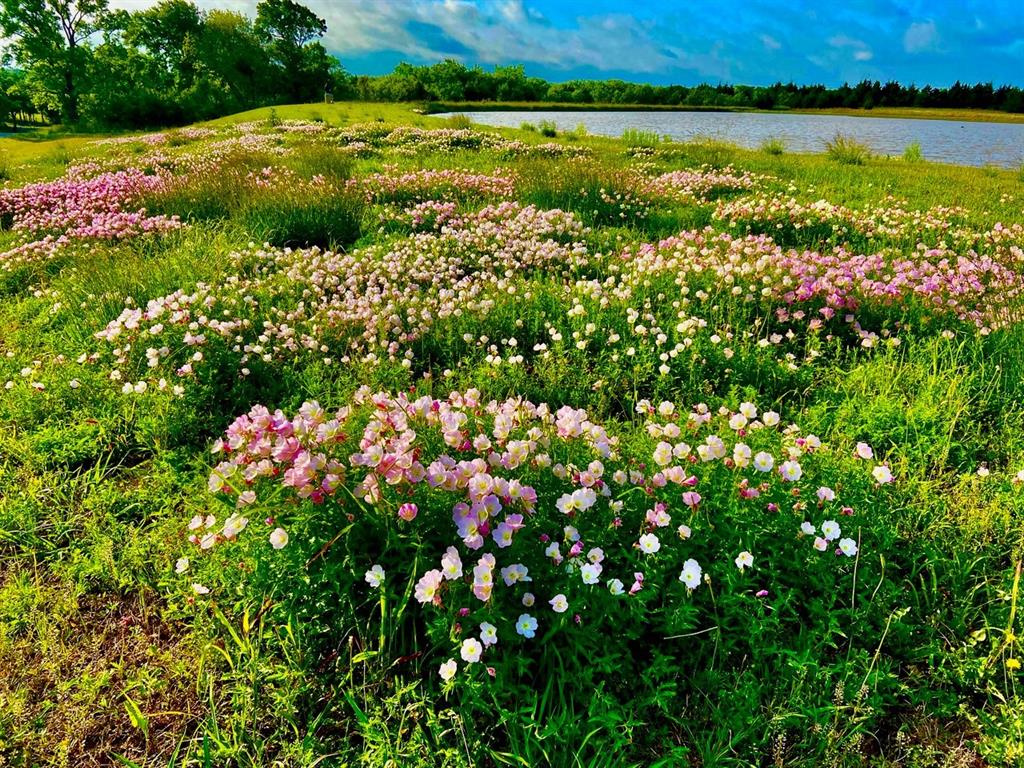 919 Harrell Road Howe, TX 75459 - Photo 4 of 40 Wildflowers, breathtaking natural plants & trees with attention to organic use only. There is a pumphouse with a 1,000 ft. water well and 3,000-gallon storage tank with pressure booster pump & underground freshwater lines to the Main House, 2 Guest Houses. 20 acres have sprinkler irrigation. Stick attention has been given to testing and for pure water quality.