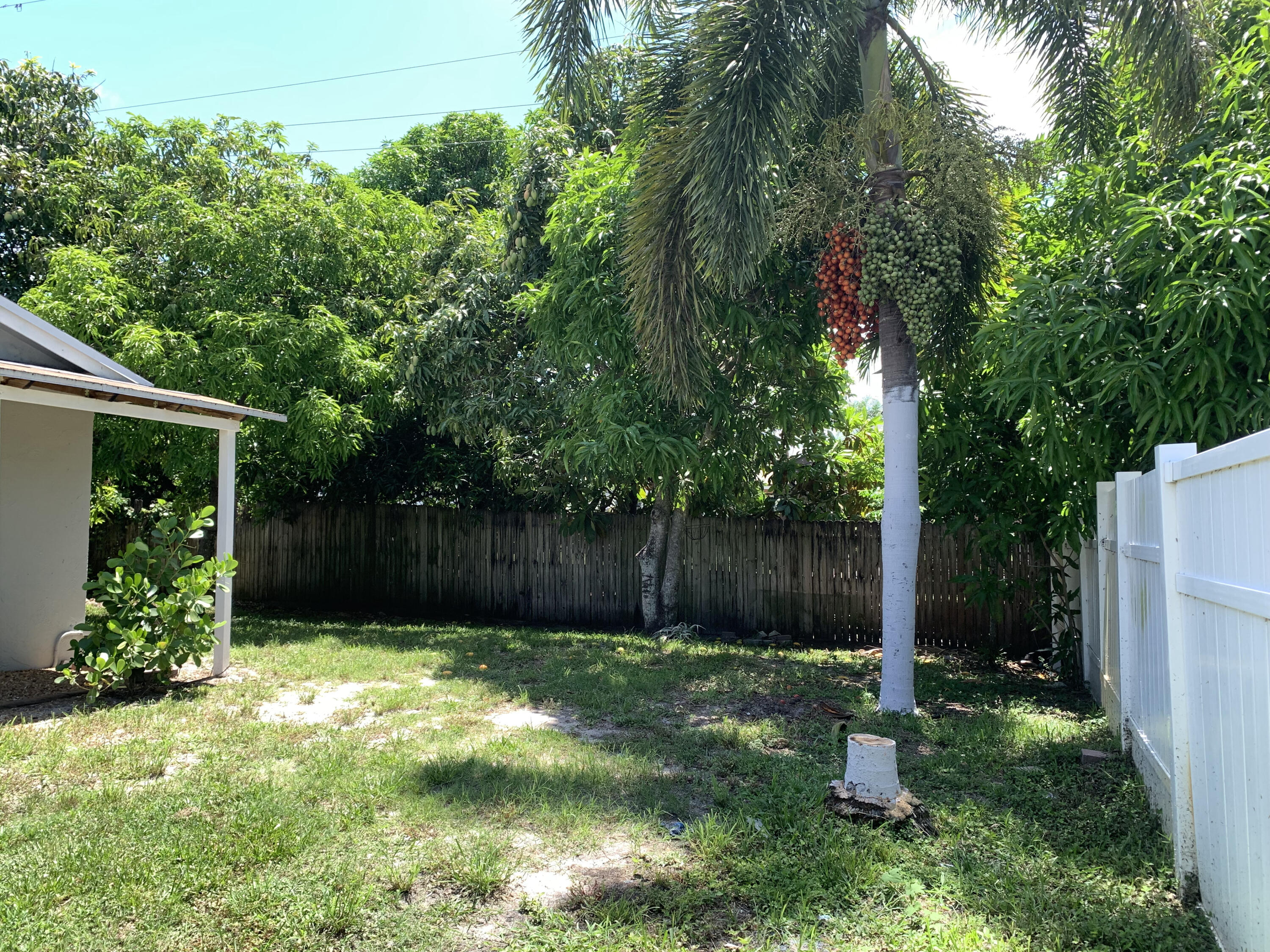 3559 Almar Road Palm Springs, FL 33461 - Photo 11 of 49 3559 Almar Road