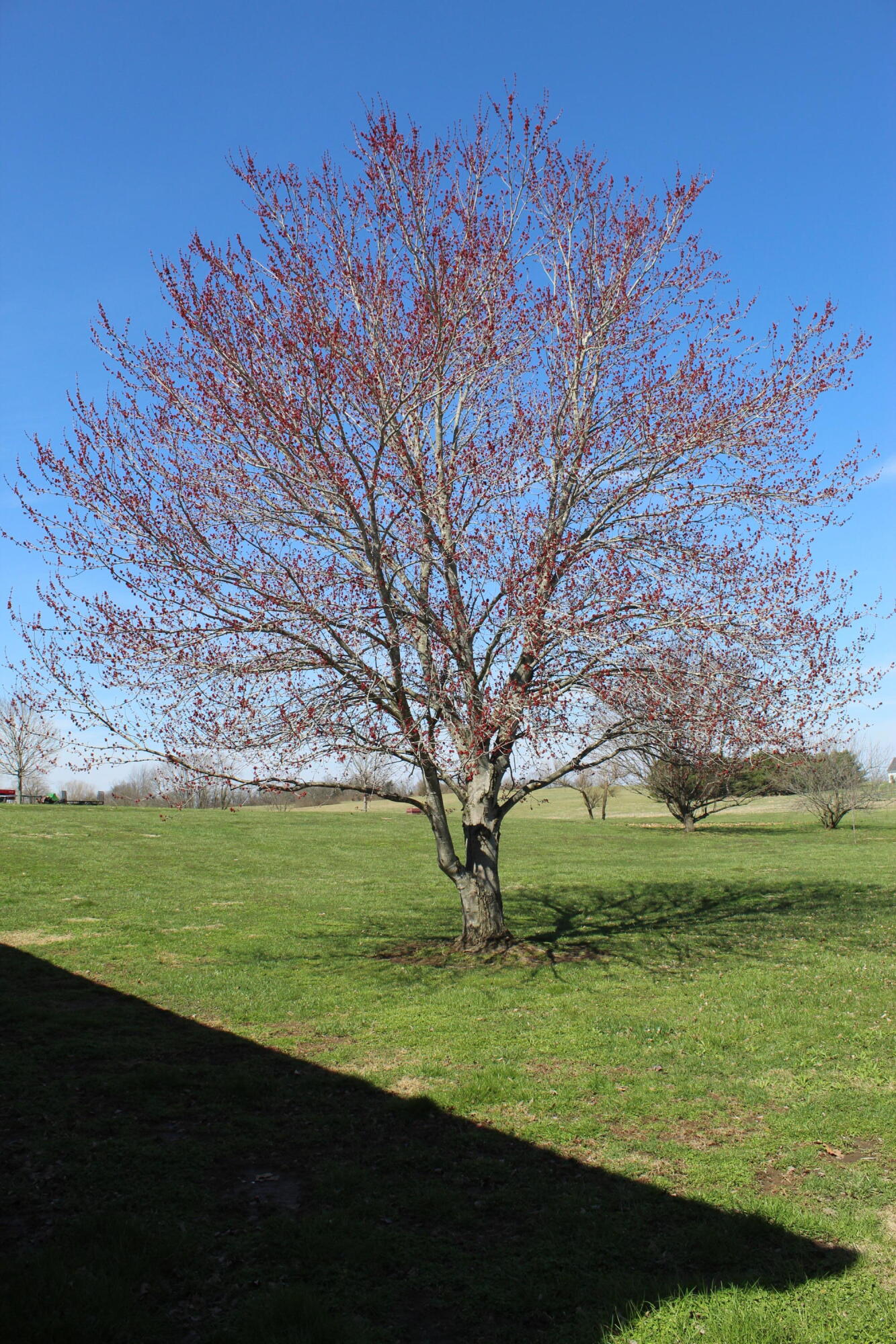 6467 Perryville Road Danville, KY 40422 - Photo 57 of 57 IMG_1902