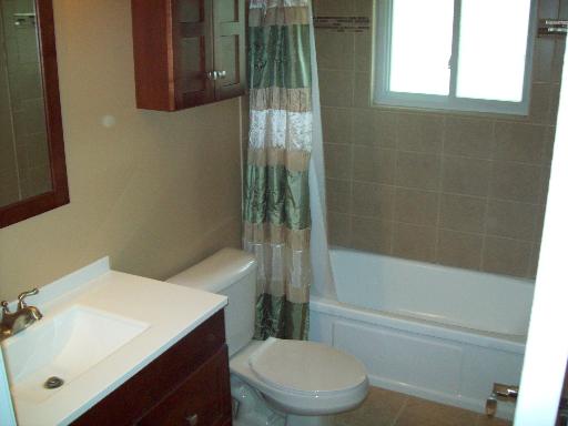 518 Redwood Road Bolingbrook, IL 60440 - Photo 4 of 12