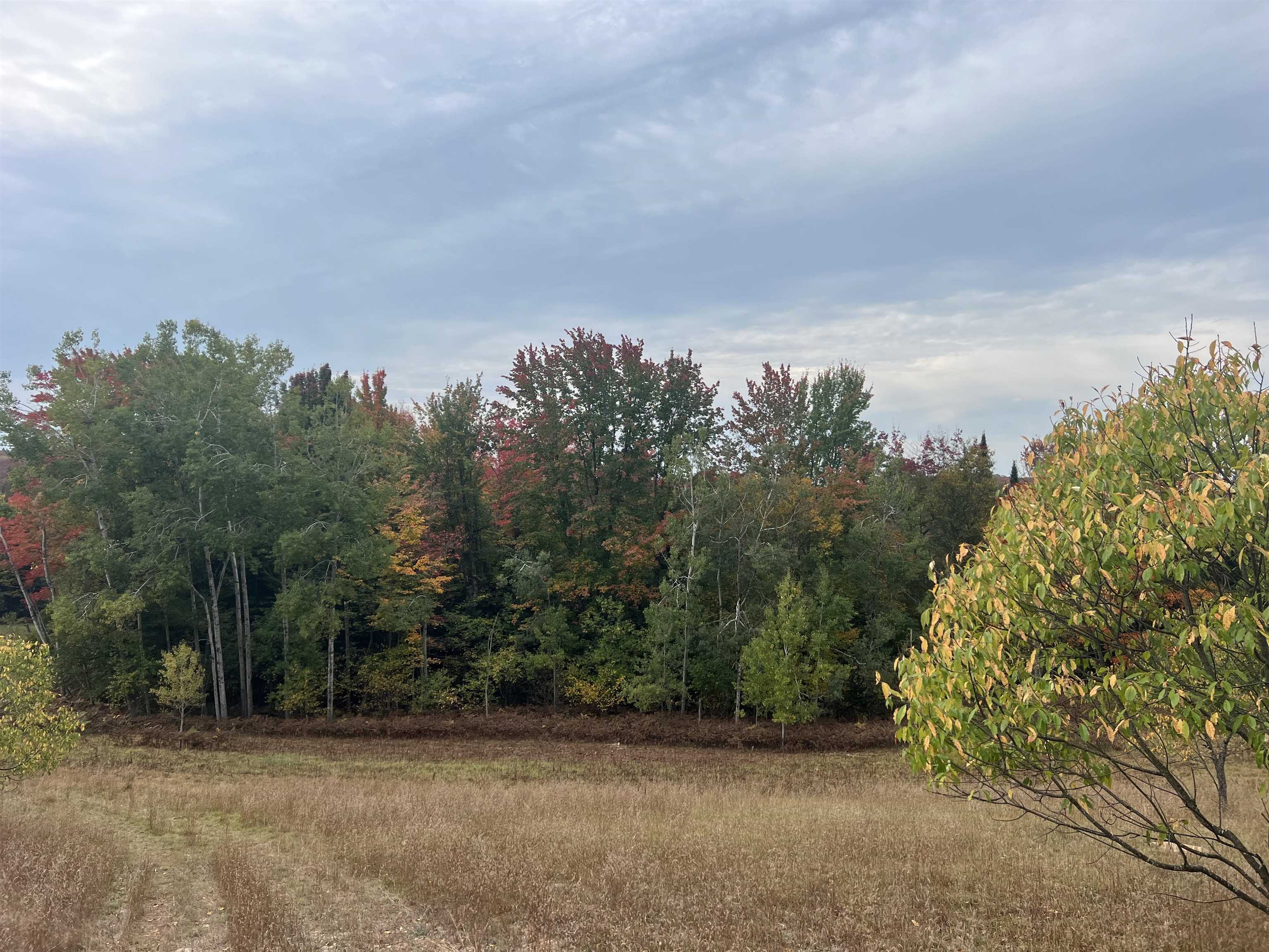 90 A Ridgeview Drive Kalkaska, MI 49646 - Photo 55 of 75