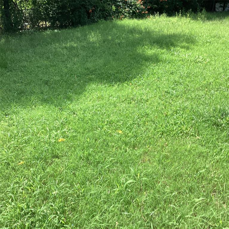 1506 South Travis Street Denison, TX 75021 - Photo 4 of 22 Backyard