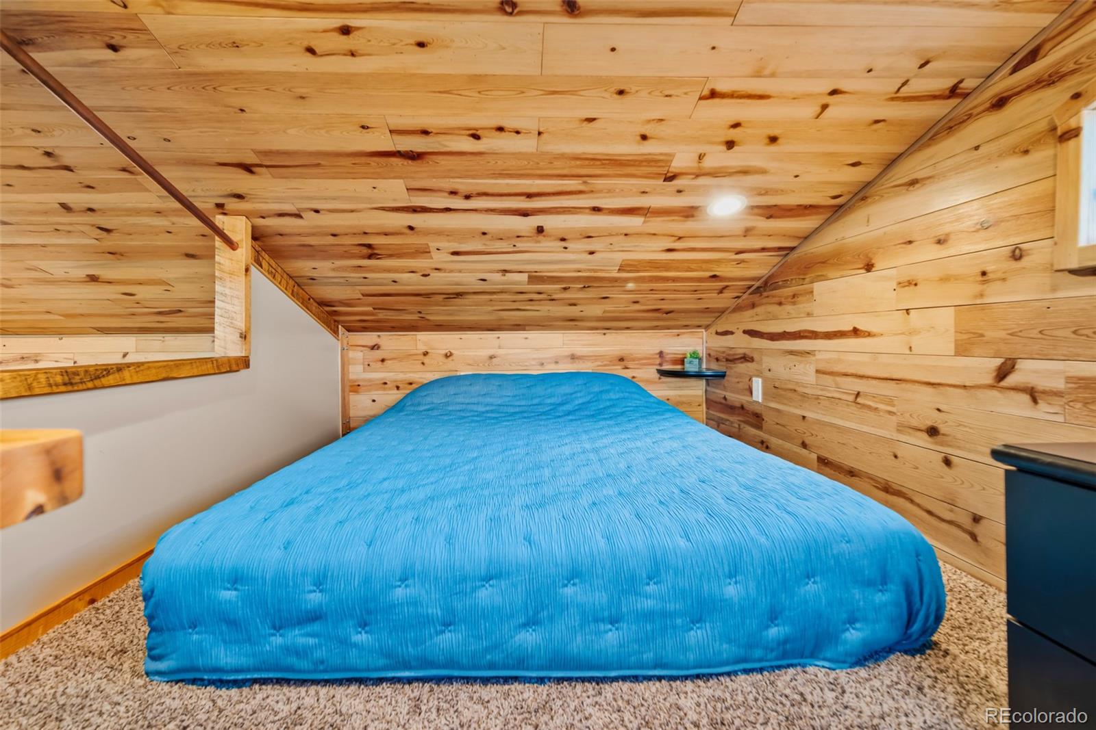 189 Goldenburg Canyon Road Hartsel, CO 80449 - Photo 16 of 36 a view of outdoor space