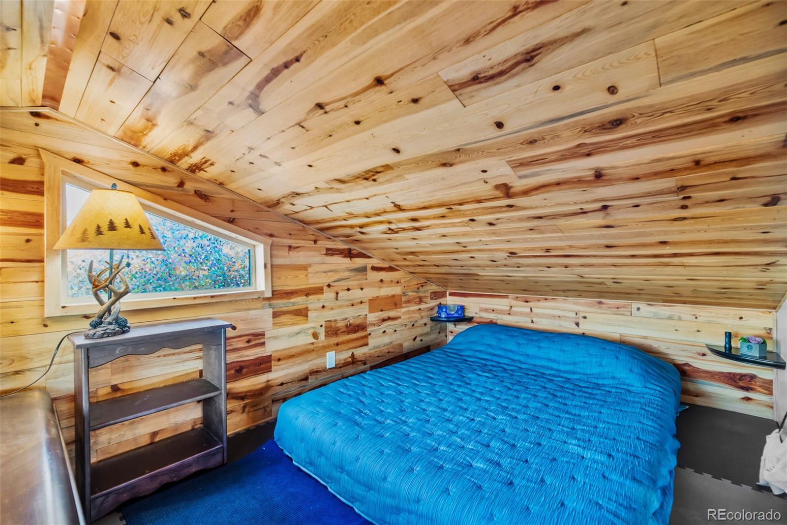 189 Goldenburg Canyon Road Hartsel, CO 80449 - Photo 17 of 36 a view of storage and utility room