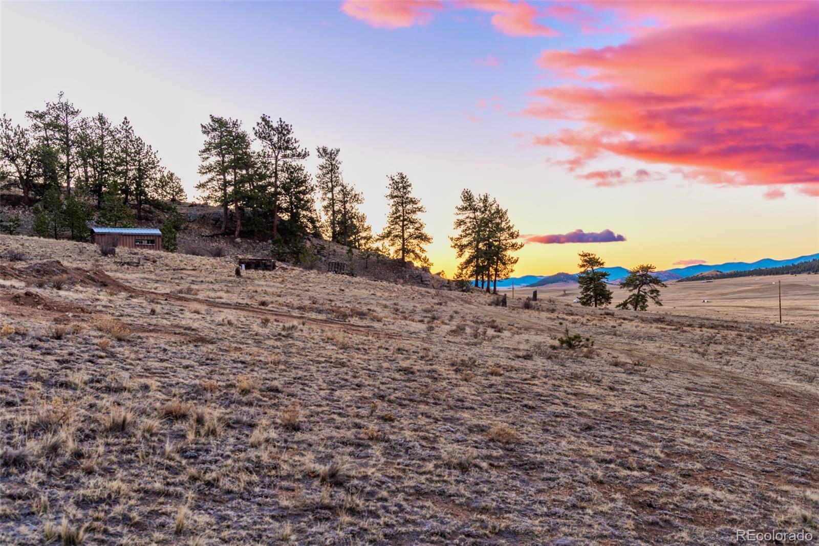 189 Goldenburg Canyon Road Hartsel, CO 80449 - Photo 19 of 36 a view of a dry yard with trees