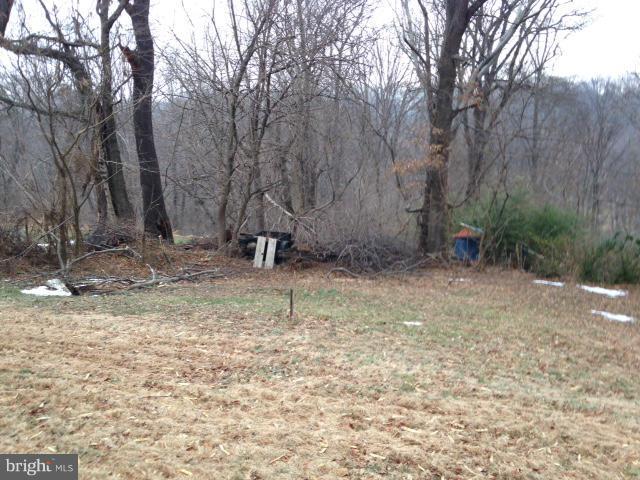 2110 Flag Marsh Road Mount Airy, MD 21771 - Photo 11 of 12 Yard