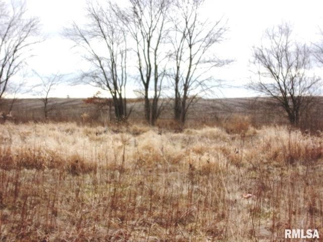5500 Block Road Salem, IL 62881 - Photo 1 of 1