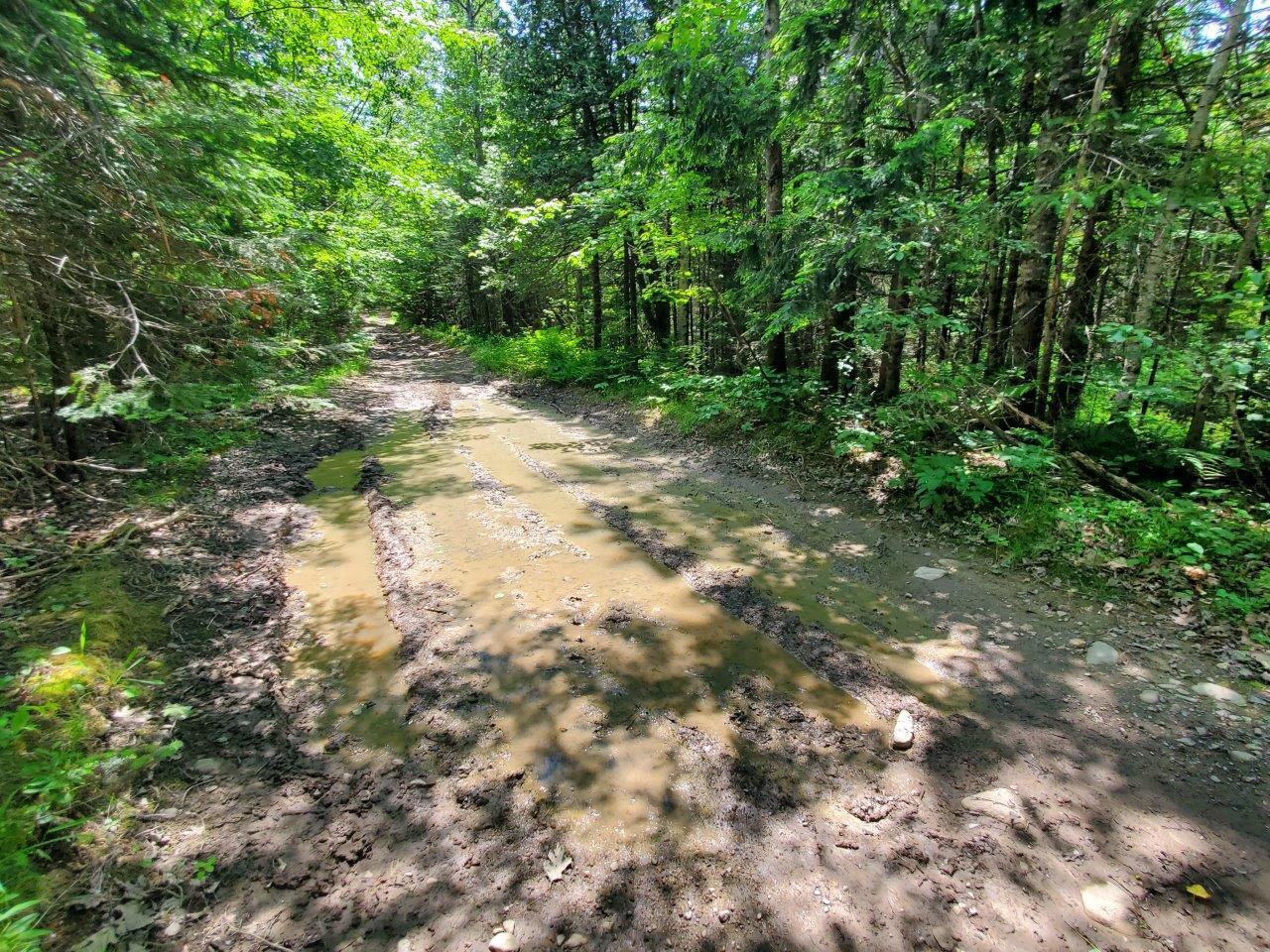 0 Morgan Road Burnham, ME 04922 - Photo 24 of 69 20250617_124016