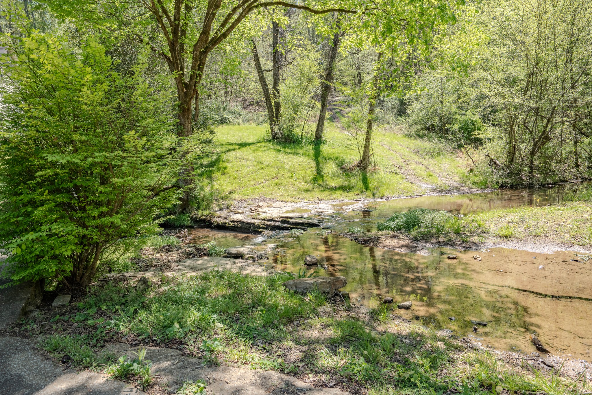2167 Powdermill Hill Road Lawrenceburg, TN 38464 - Photo 21 of 33 a view of a yard with trees