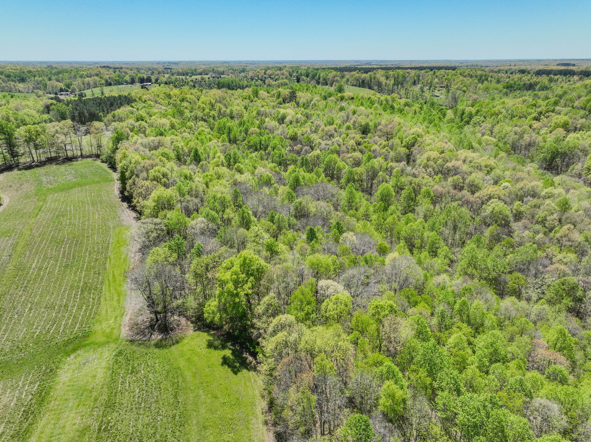 2167 Powdermill Hill Road Lawrenceburg, TN 38464 - Photo 22 of 33