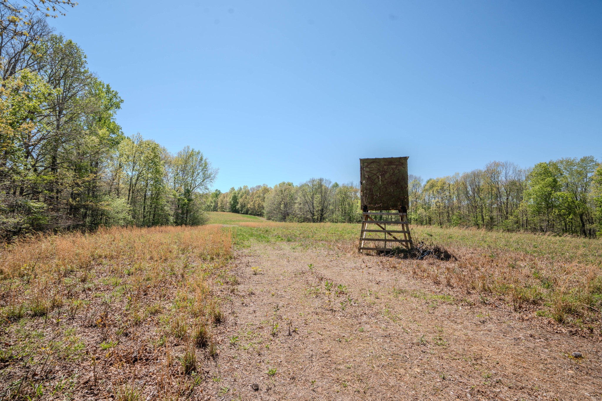 2167 Powdermill Hill Road Lawrenceburg, TN 38464 - Photo 24 of 33 a backyard of a house with lots of green space