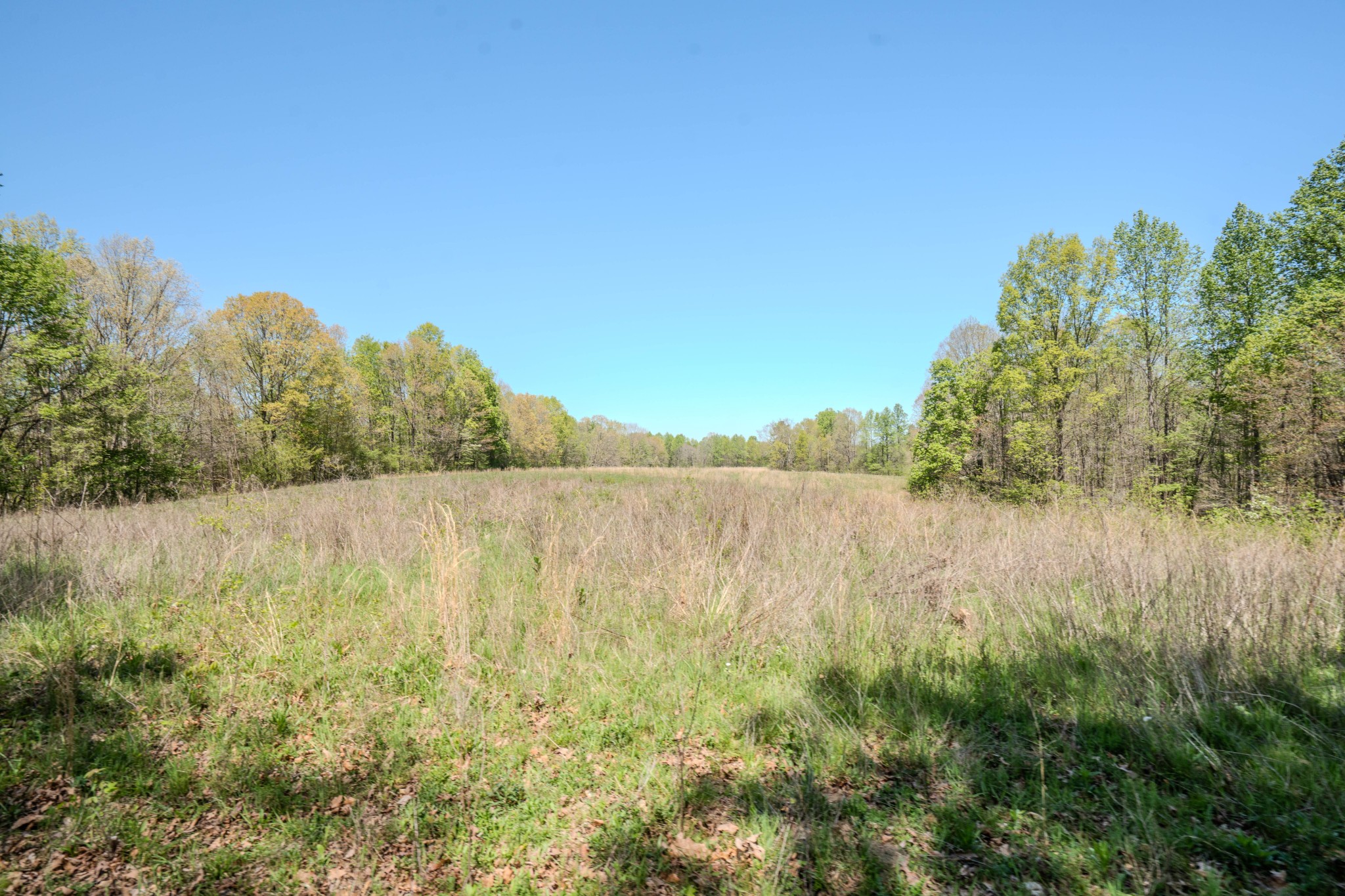 2167 Powdermill Hill Road Lawrenceburg, TN 38464 - Photo 26 of 33 a view of a lake view with houses in back