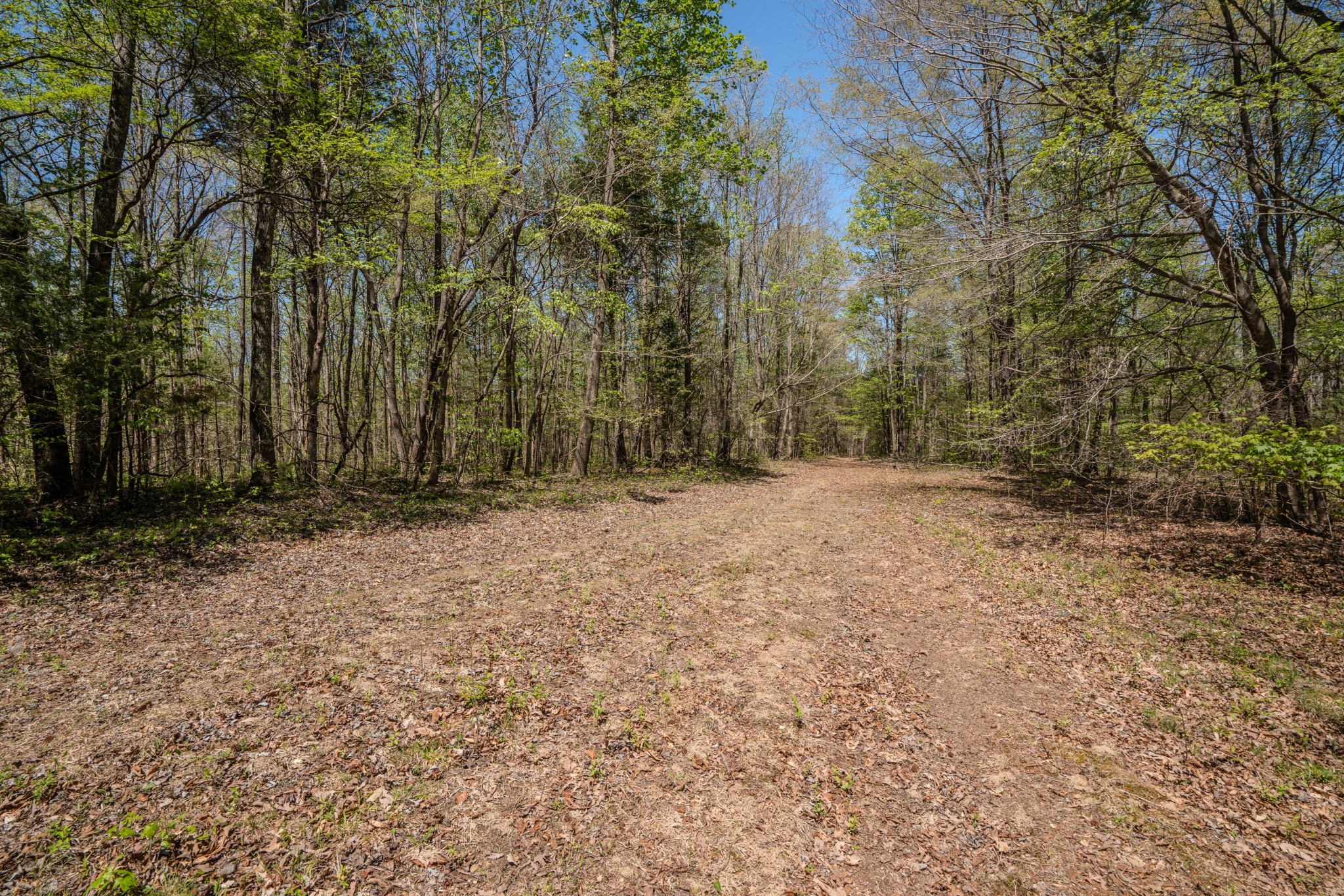 2167 Powdermill Hill Road Lawrenceburg, TN 38464 - Photo 29 of 33 a view of outdoor space with trees