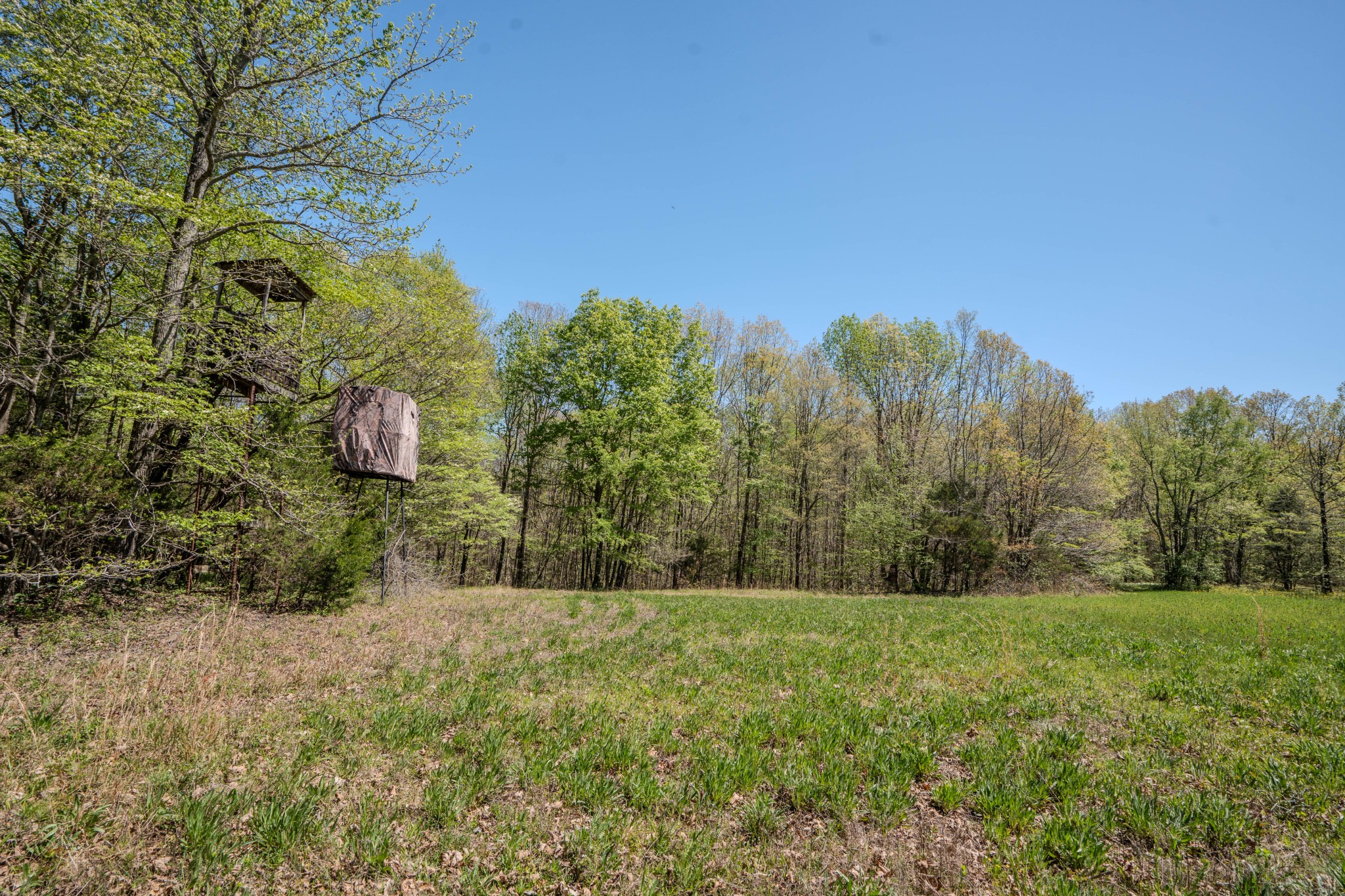 2167 Powdermill Hill Road Lawrenceburg, TN 38464 - Photo 30 of 33 a view of a outdoor space
