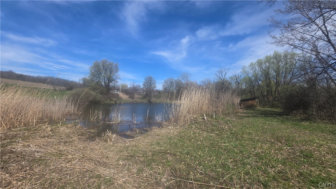 3599 Watervale Road Pompey, NY 13104 - Photo 32 of 48