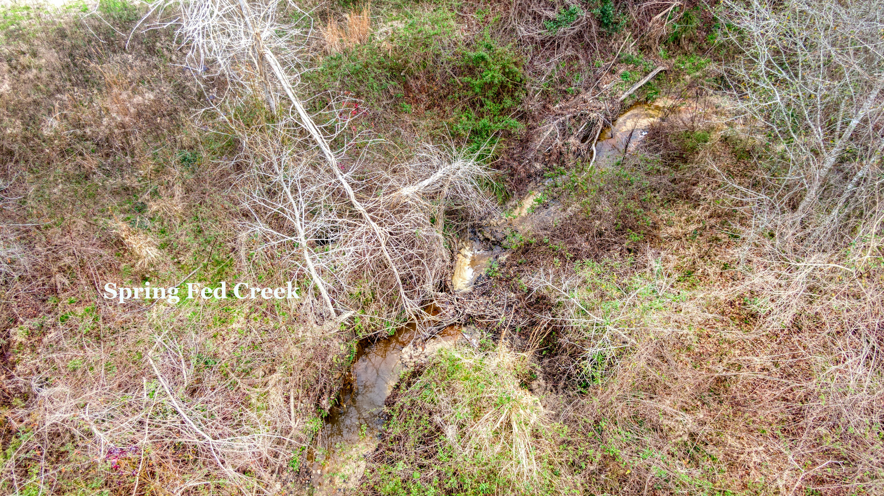 Tbd Fanning Branch Road Vernon, FL 32462 - Photo 11 of 37 10_DJI_0448_10-Edit