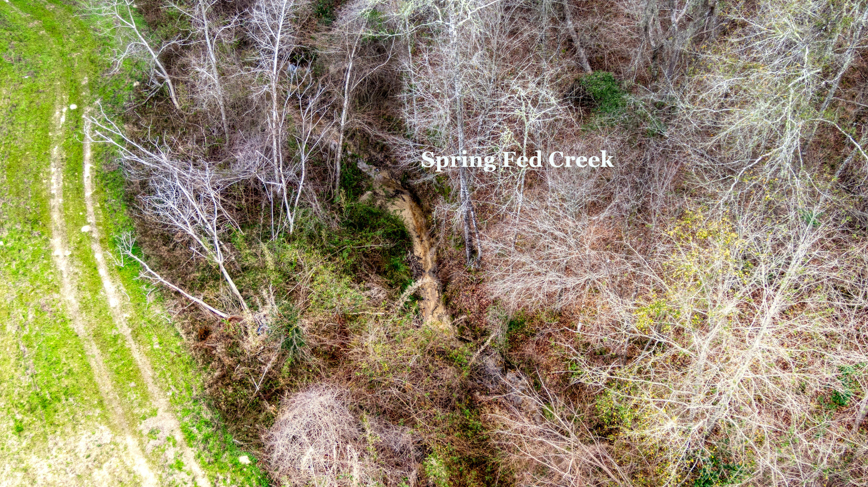 Tbd Fanning Branch Road Vernon, FL 32462 - Photo 12 of 37 11_DJI_0453_11-Edit