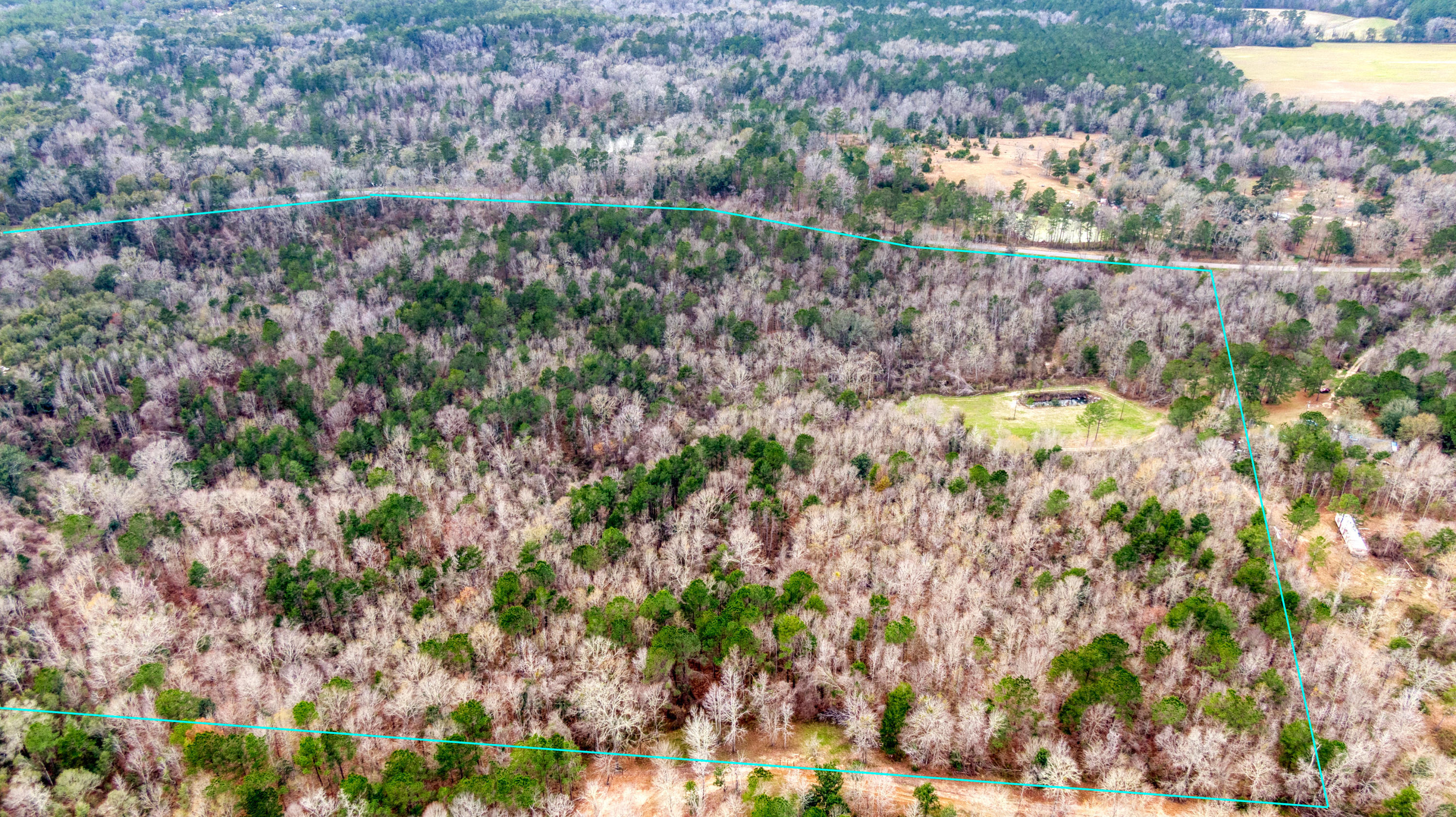 Tbd Fanning Branch Road Vernon, FL 32462 - Photo 14 of 37 13_DJI_0463_13-Edit