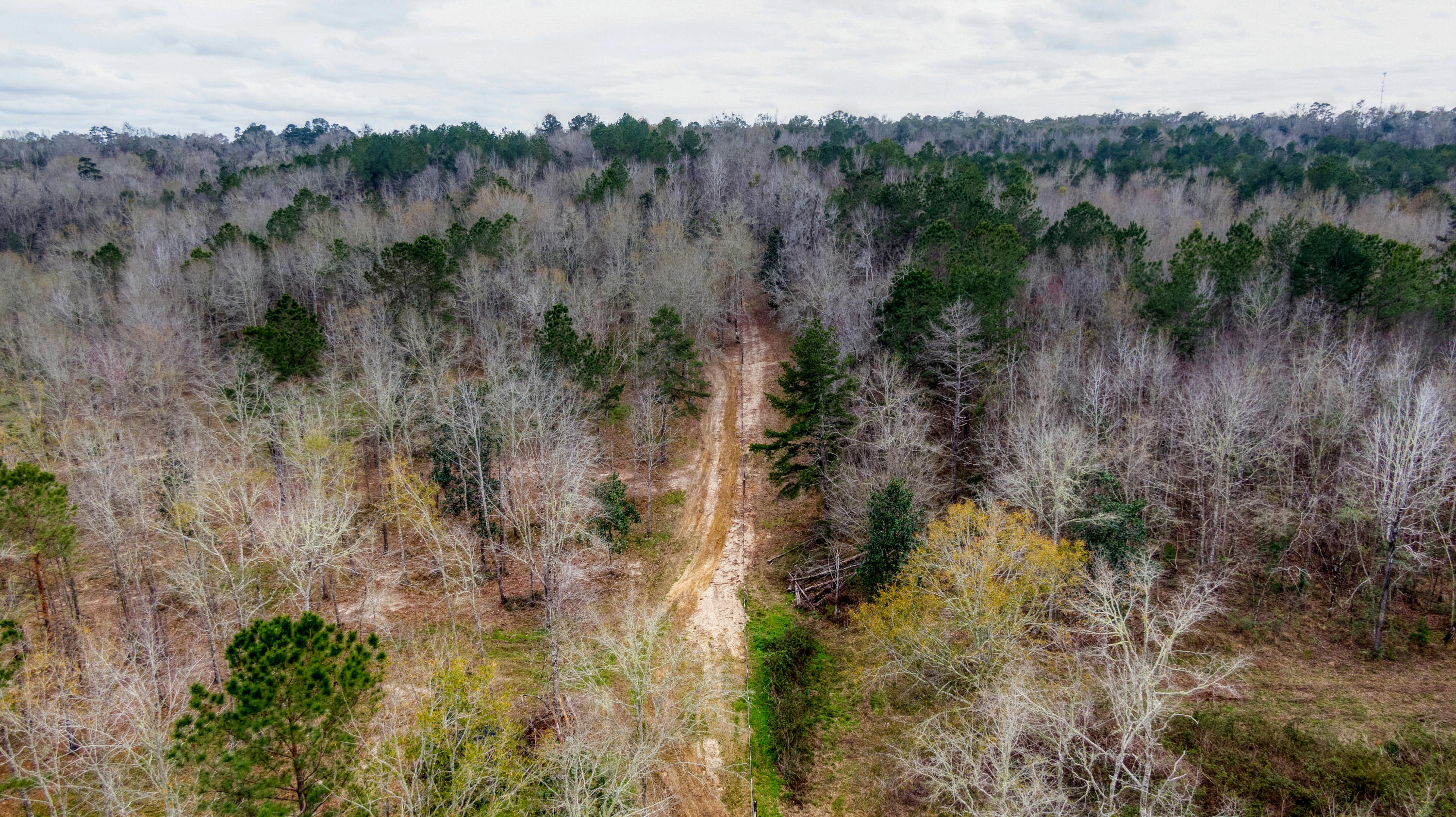Tbd Fanning Branch Road Vernon, FL 32462 - Photo 16 of 37 15_DJI_0473_15
