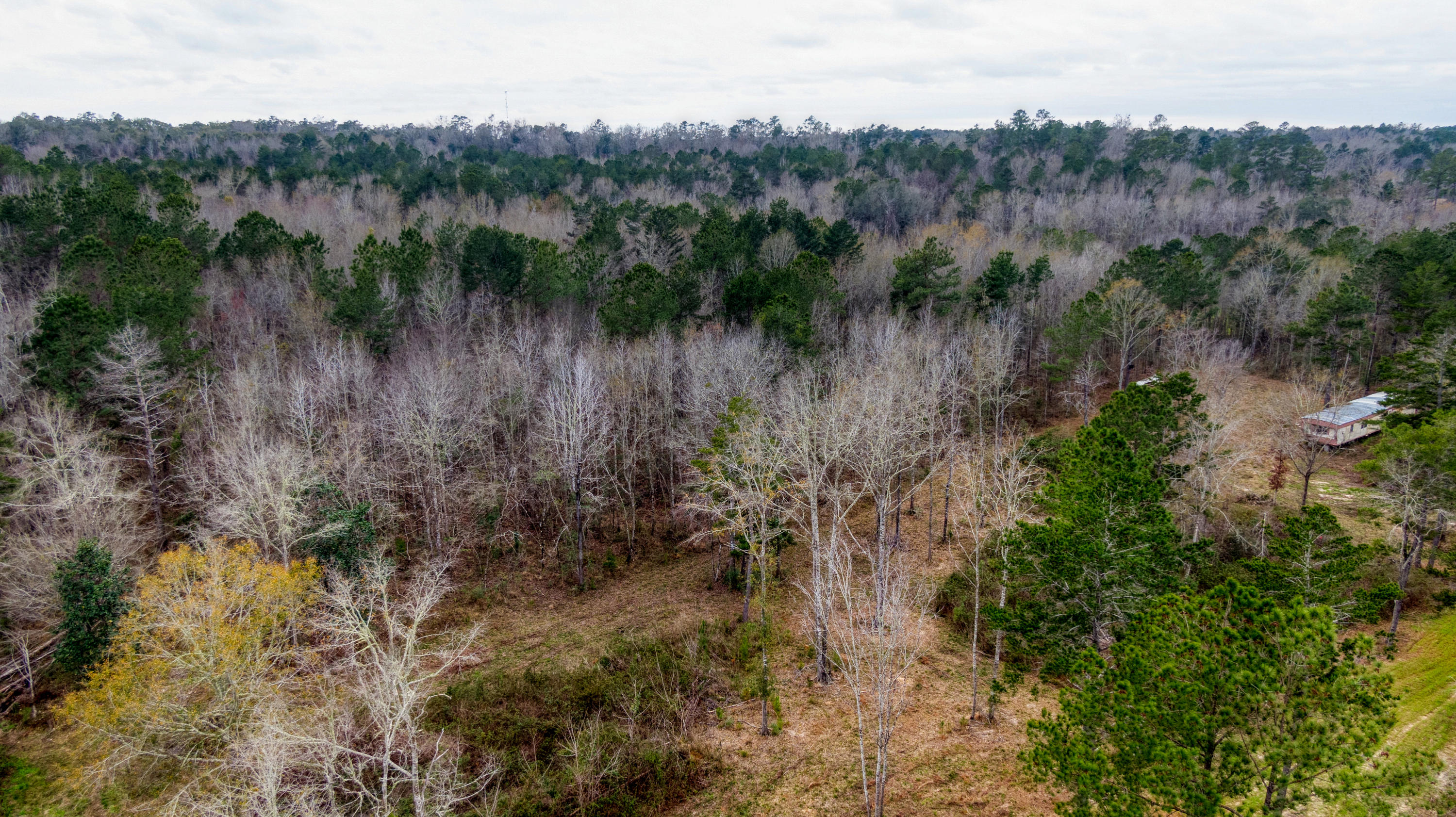 Tbd Fanning Branch Road Vernon, FL 32462 - Photo 17 of 37 16_DJI_0478_16