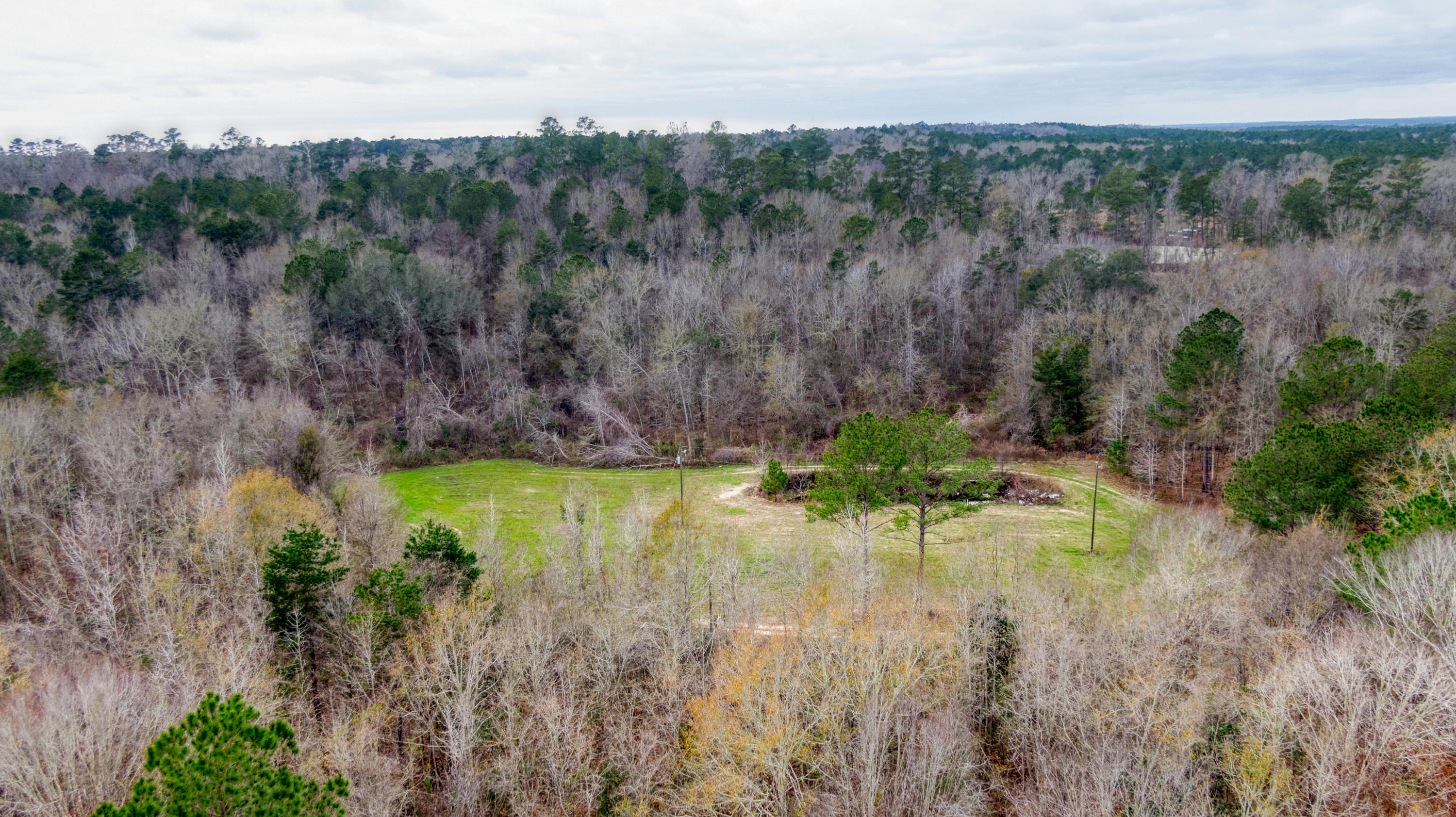 Tbd Fanning Branch Road Vernon, FL 32462 - Photo 18 of 37 17_DJI_0483_17
