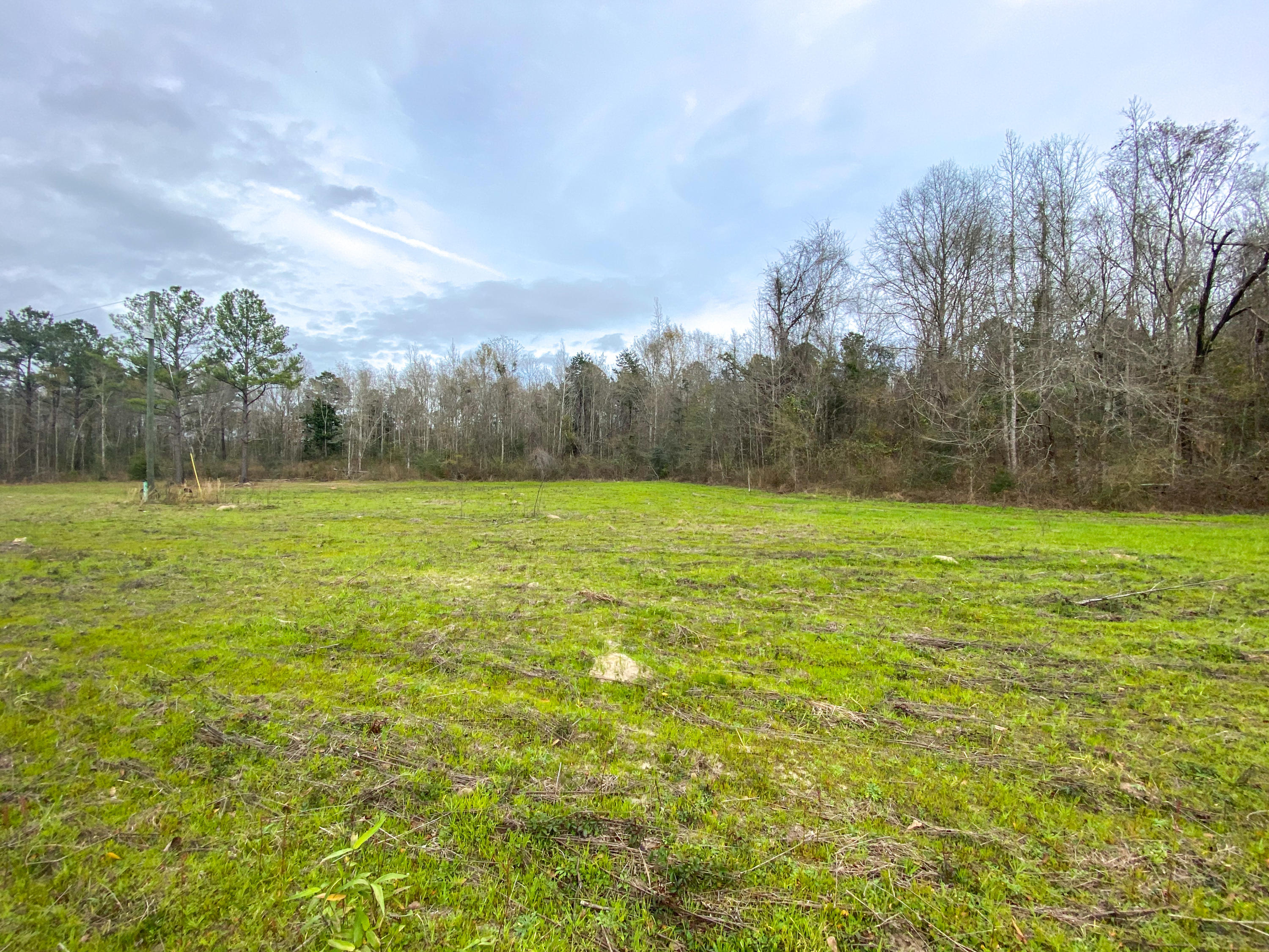 Tbd Fanning Branch Road Vernon, FL 32462 - Photo 19 of 37 Photo Feb 04, 2 18 28 PM