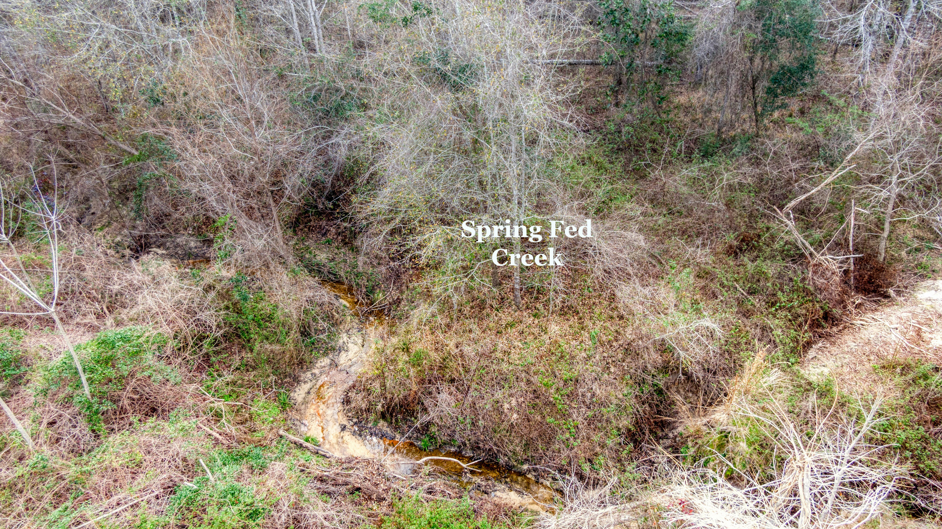 Tbd Fanning Branch Road Vernon, FL 32462 - Photo 2 of 37 8_DJI_0438_8-Edit