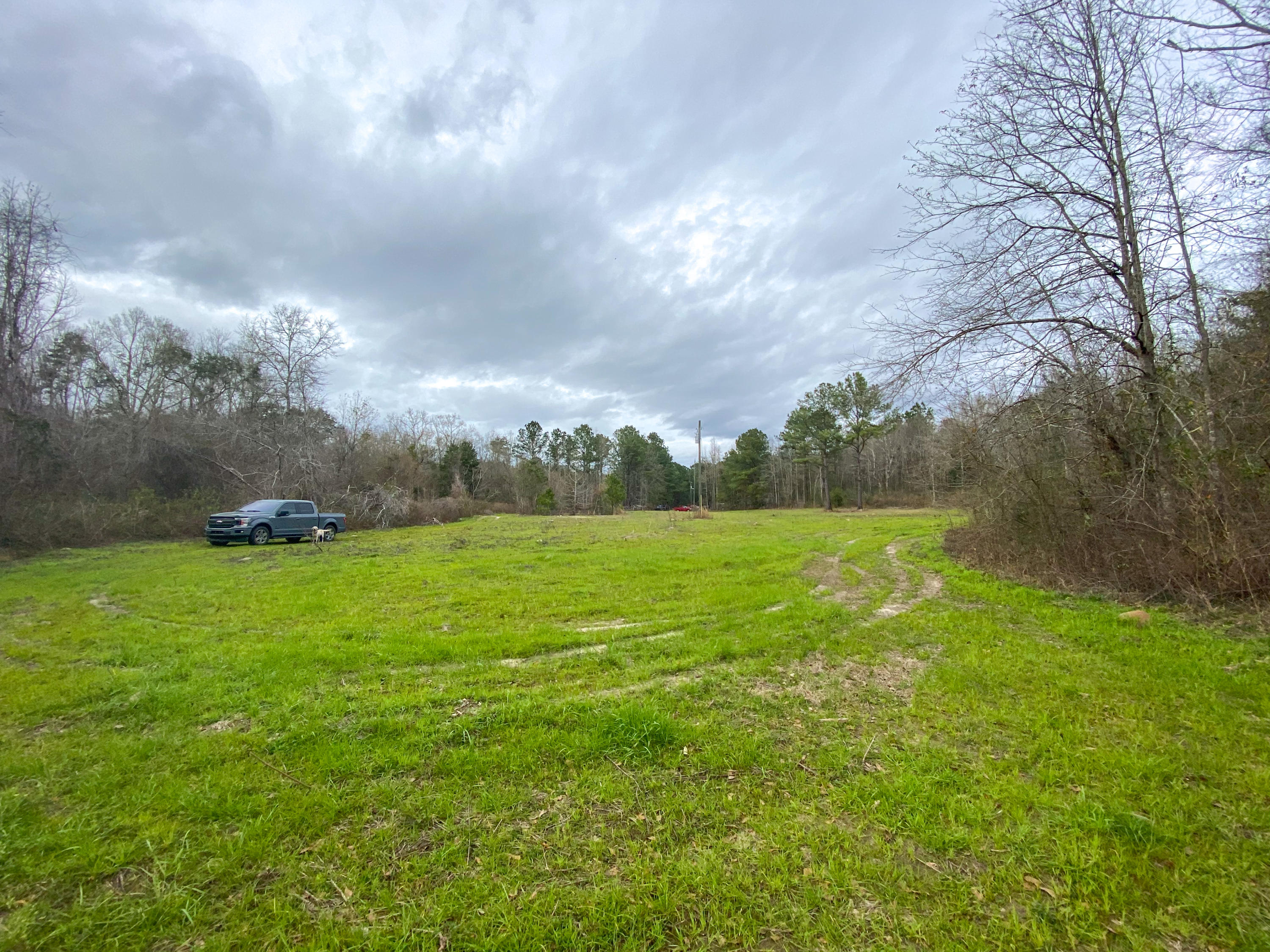Tbd Fanning Branch Road Vernon, FL 32462 - Photo 21 of 37 Photo Feb 04, 2 19 24 PM