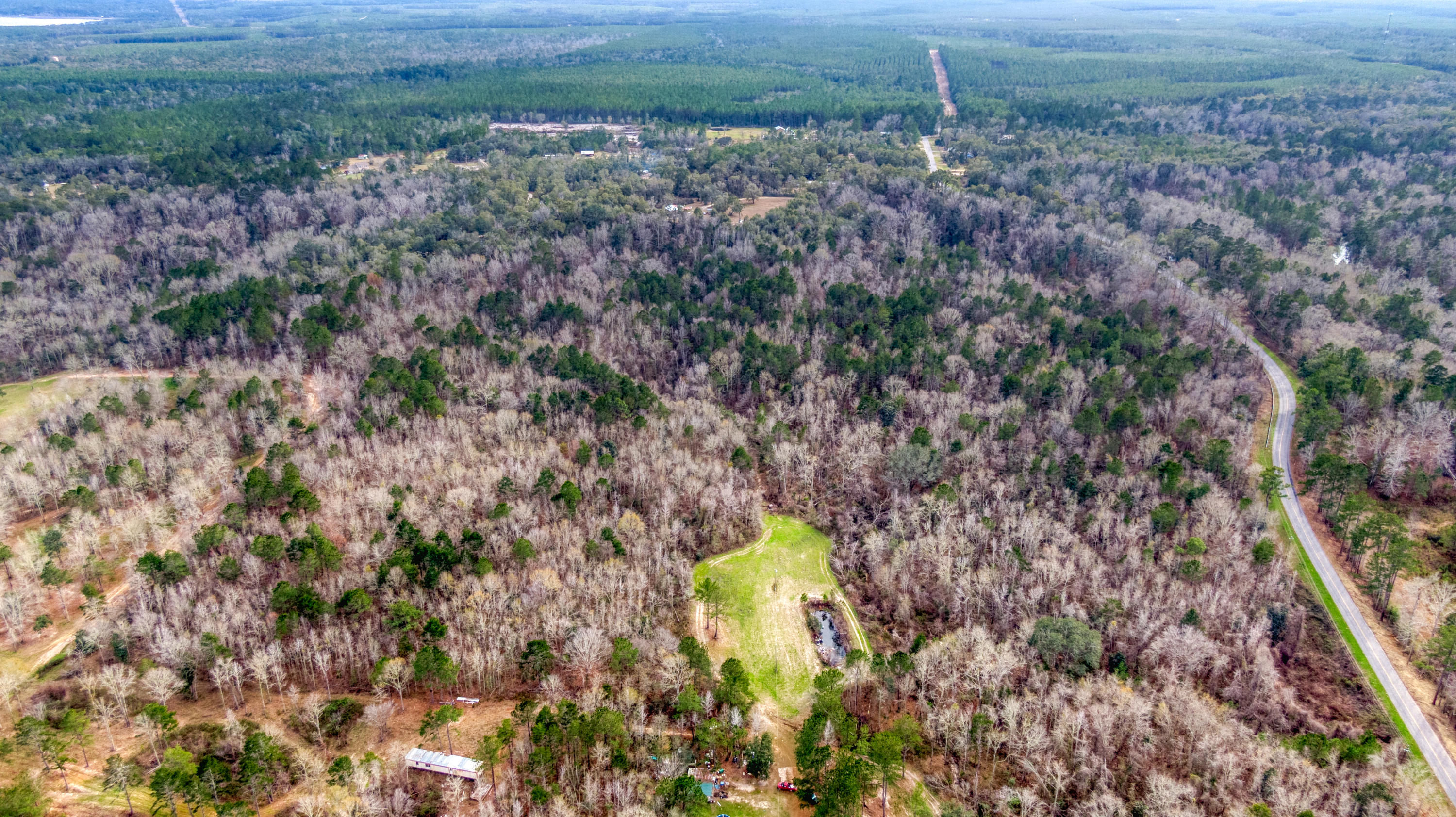 Tbd Fanning Branch Road Vernon, FL 32462 - Photo 29 of 37 2_DJI_0408_2
