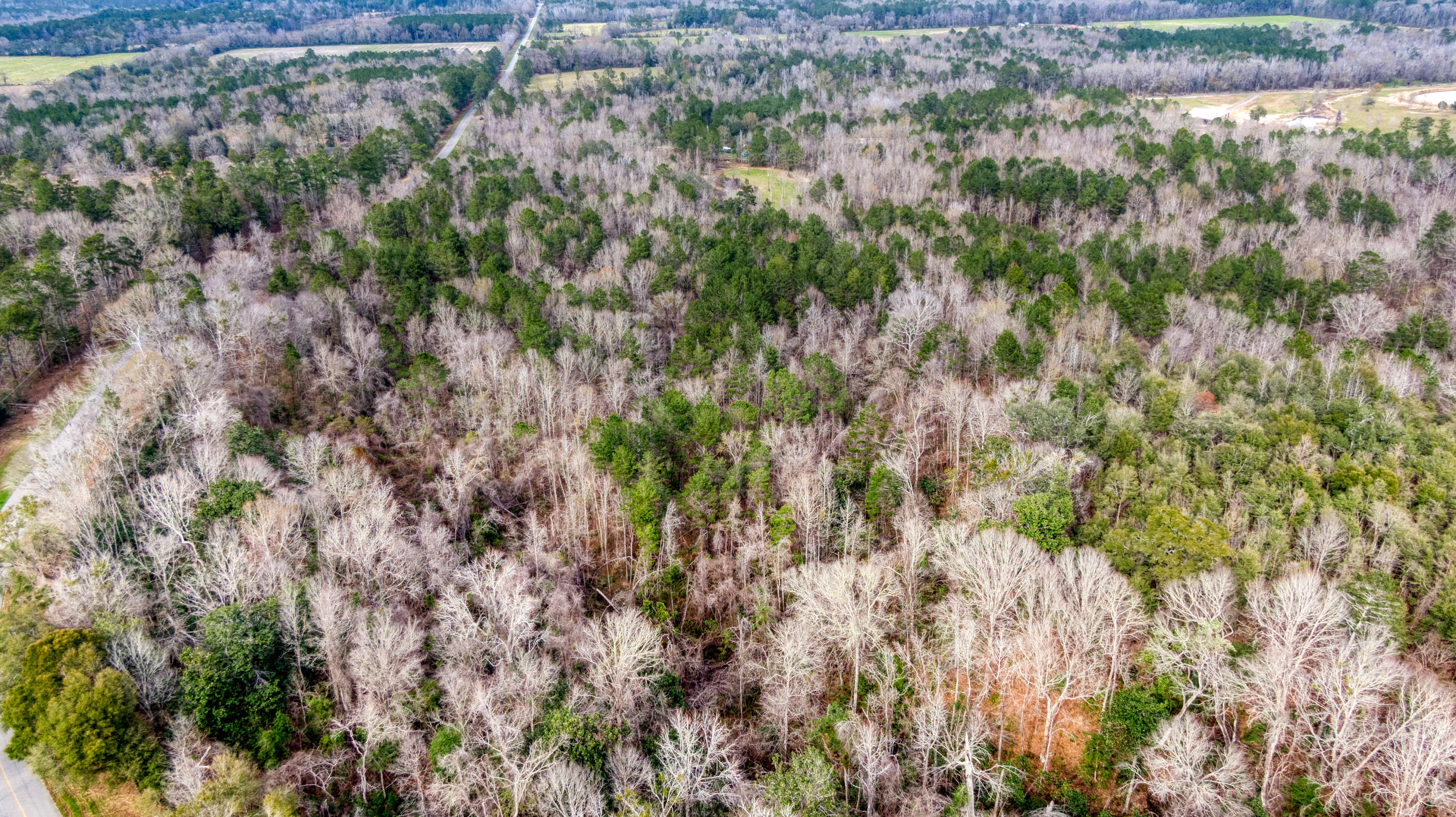 Tbd Fanning Branch Road Vernon, FL 32462 - Photo 30 of 37 7_DJI_0433_7