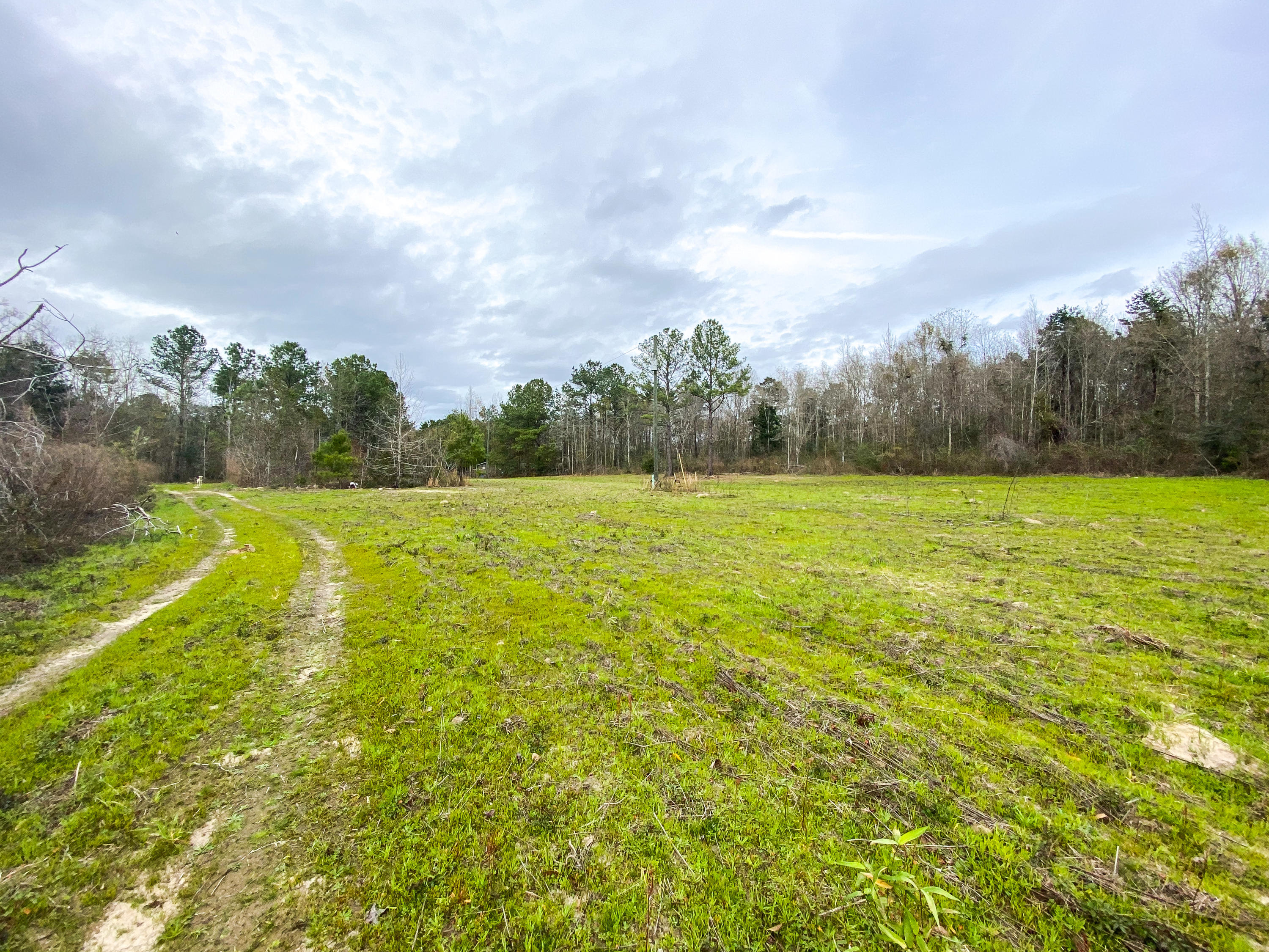 Tbd Fanning Branch Road Vernon, FL 32462 - Photo 3 of 37 Photo Feb 04, 2 18 26 PM